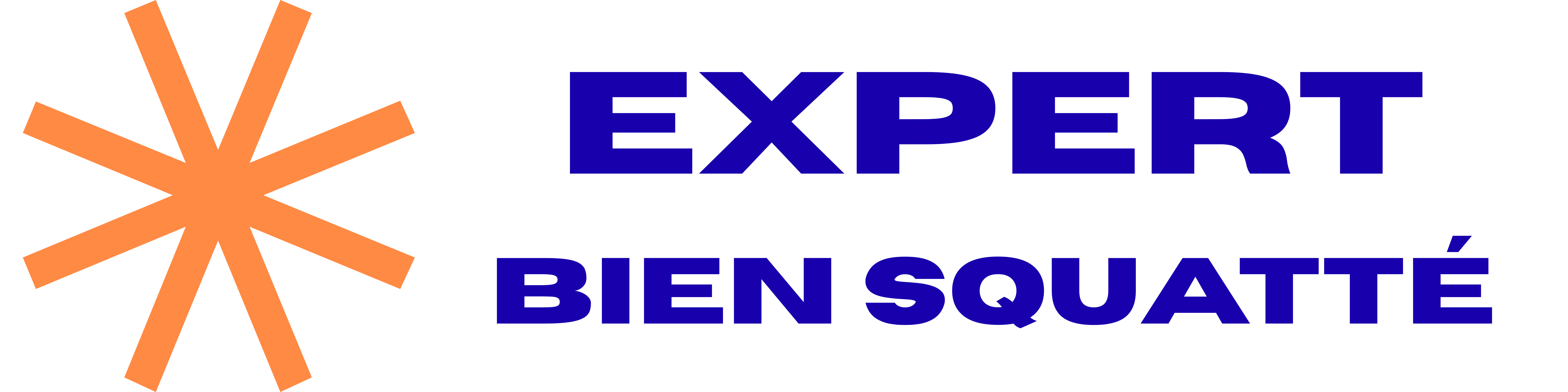 Expert Bien Squatté